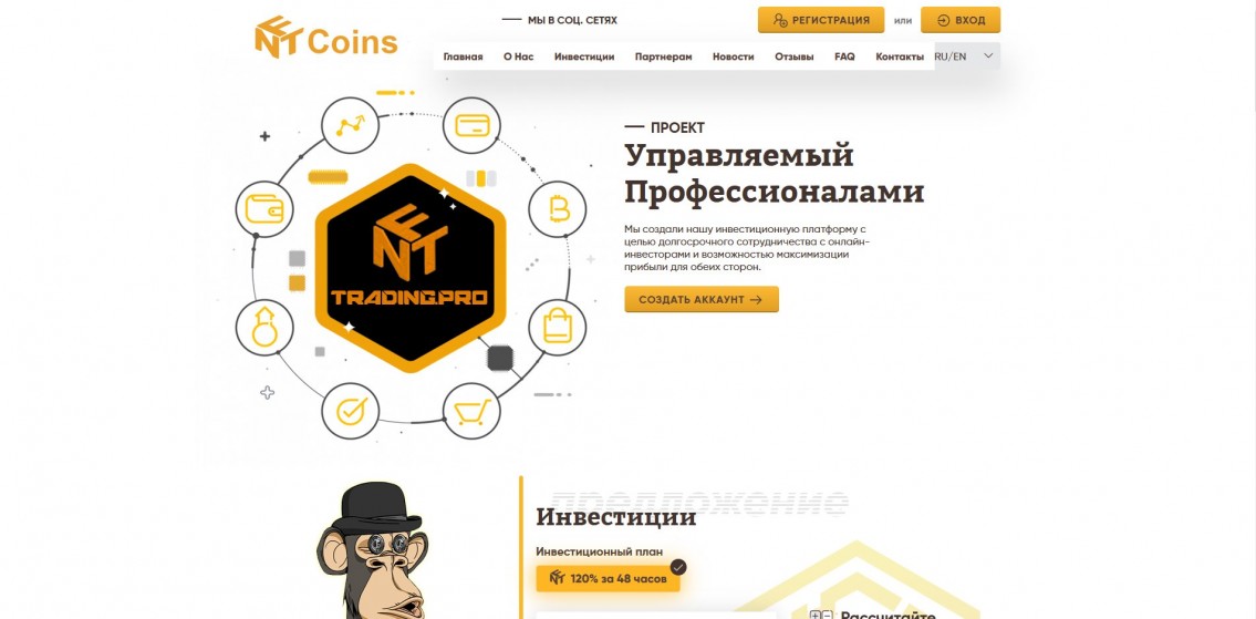 NFT coins