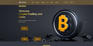 Metronic