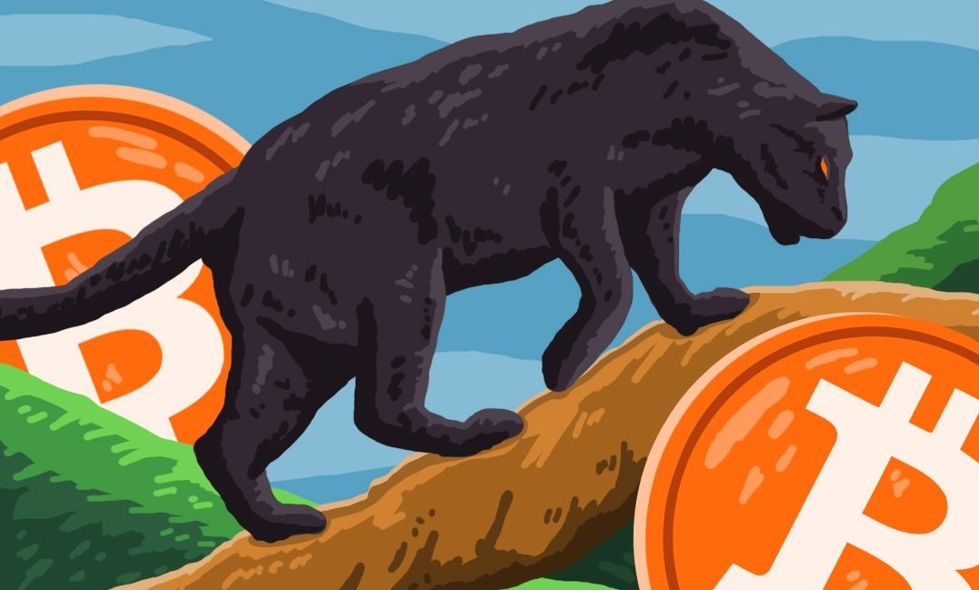 Криптовалютные биржи